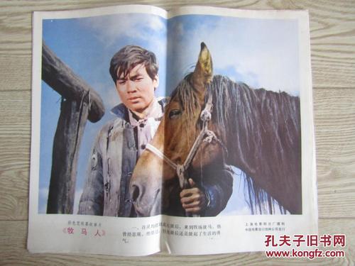 怎么办假小国家